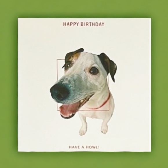 Happy Birthday, Have A Howl Birthday Card - Picture 6 of 7